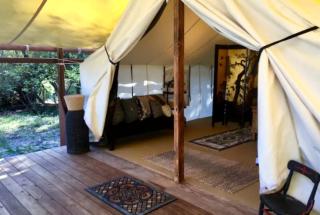 Charming Luxury Tent Rental Surrounded by Scenic Forest Views in Pescadero, California - Pescadero - 0