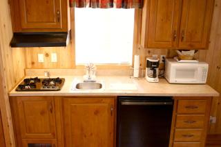 Family-Friendly Cabin Vacation Rentals with Shared Pool near Yosemite National Park - Groveland - 4
