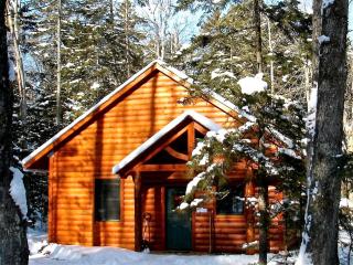 Artisan Crafted, Pet-Friendly Log Cabin Rental in Charming Ripton, Vermont - Middlebury - 8