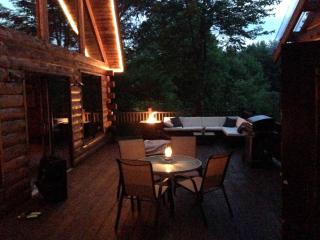 Secluded Cabin Rental near Letchworth State Park in Buffalo, Arcade, New York - Chaffee - 8