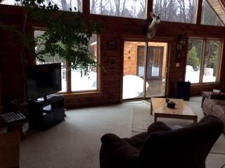 Secluded Cabin Rental near Letchworth State Park in Buffalo, Arcade, New York - Chaffee - 6