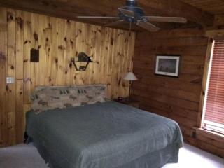 Secluded Cabin Rental near Letchworth State Park in Buffalo, Arcade, New York - Chaffee - 4