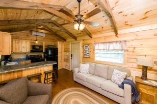 Stunning Cabin Close to Tryon and the Foothills of Mill Spring near Lake Lure, North Carolina - Mill Spring - 0