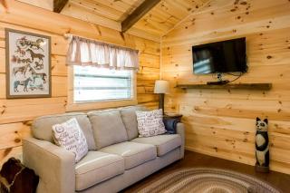 Stunning Cabin Close to Tryon and the Foothills of Mill Spring near Lake Lure, North Carolina - Mill Spring - 5