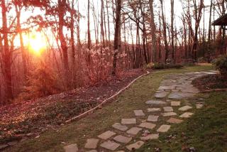 Cozy Room Rental for a Romantic Getaway in Dahlonega, Georgia - Dahlonega - 2