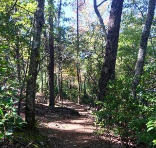 Cozy Room Rental for a Romantic Getaway in Dahlonega, Georgia - Dahlonega - 1