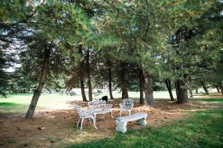 Peaceful Bed and Breakfast Accommodation near New Hope, Pennsylvania - Doylestown - 1