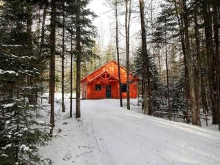 Artisan-Crafted Vermont Cabin in Green Mountain National Forest - Middlebury - 7