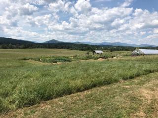 Rustic Bell Tent on Working Farm in New York with Views of the Adirondacks - Westport - 5