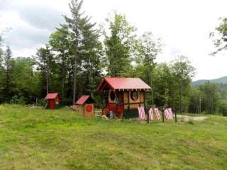 Beautiful Glamping Tent in the Adirondacks - North River - 1