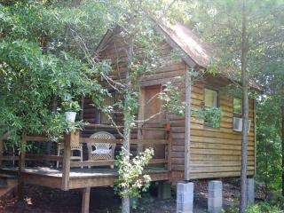 Beautiful Private Cabin Nestled on Premiere Retreat Center, North Carolina - - 2