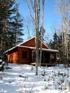 Mountain Cabin Getaway in the Heart of the Green Mountain National Forest near Middlebury, Vermont - Middlebury - 0