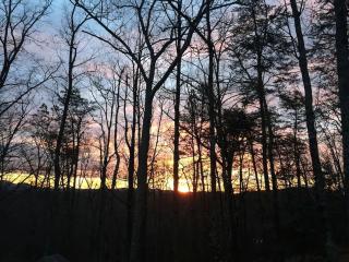 Woodland Log Cabin Rental in the Foothills of the Blue Ridge Mountains, Georgia - 5