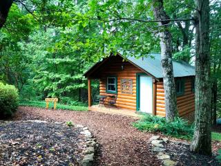 Woodland Log Cabin Rental in the Foothills of the Blue Ridge Mountains, Georgia - Dahlonega - 6