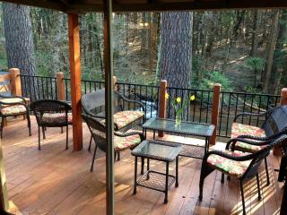 Cozy Vacation Cottage Rental near Lassen Volcanic National Park, Northern California - Shingletown - 5