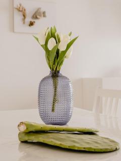 Dimore20Dimare Zefiro - Torre Canne - 1