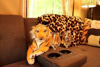 African-Themed Safari Tent for Glamping in West Virginia - Hico - 7