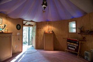 Enchanting Yurt Rental for a Romantic Getaway in North Carolina - - 5