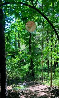Enchanting Yurt Rental for a Romantic Getaway in North Carolina - - 3