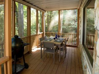 Stunning Lakefront Cabin with a Pool Table in Gainesville, Georgia - Gainesville - 7