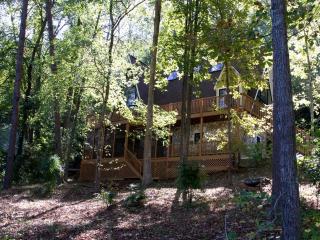 Stunning Lakefront Cabin with a Pool Table in Gainesville, Georgia - Gainesville - 2