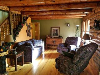 Charming Log Cabin Getaway with Private Hot Tub near Decatur, Illinois - Decatur - 2