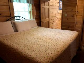 Secluded Cabin Rental in the Forest near Beckley, West Virginia - Hico - 4