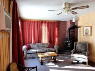 Homespun Cabin in the Woods with Lake Views in Eagle River, Wisconsin - Eagle River - 8