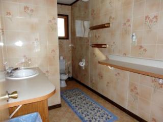 Homespun Cabin in the Woods with Lake Views in Eagle River, Wisconsin - Eagle River - 2