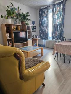 Felicita Vintage Appartements - Colmar City Center - Colmar - 1