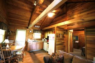 Romantic Cabin Rental in the Forest near Beckley, West Virginia - Hico - 8