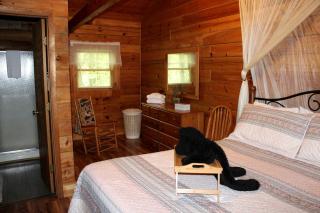 Romantic Cabin Rental in the Forest near Beckley, West Virginia - Hico - 5