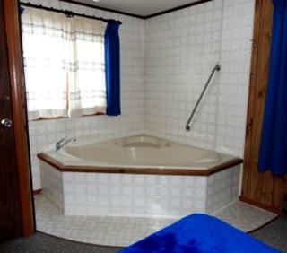 Fantastic Cabin Vacation Rental Located in Secluded Woodland near Eagle River, Wisconsin - Eagle River - 4