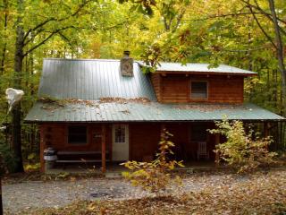 Picturesque Cabin Rental near Watoga State Park in West Virginia - Hico - 9