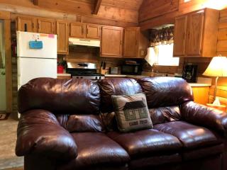 Charming Cabin Rental in the Forest near Beckley, West Virginia - Hico - 9
