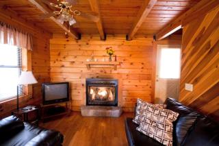Stunning Pet-Friendly Cabin Rental near Charleston, West Virginia - Hico - 9