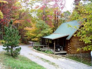 Spacious Cabin Rental with a Hot Tub near the Gauley River in West Virginia - Hico - 5