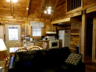 Spacious Cabin Rental with a Hot Tub near the Gauley River in West Virginia - Hico - 3