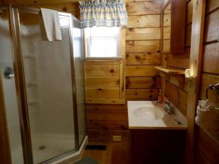 Spacious Cabin Rental with a Hot Tub near the Gauley River in West Virginia - Hico - 1