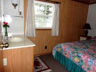 Cozy Lake Cabin with a Sandy Beach and Pontoon Boat in North Wisconsin - Eagle River - 2