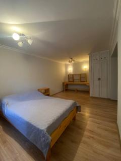 Shevchenko-apart - Almaty - 5