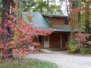 Rustic Cabin Rental in the Forest near Charleston, West Virginia - Hico - 0