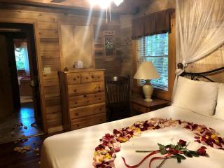 Rustic Cabin Rental in the Forest near Charleston, West Virginia - Hico - 6