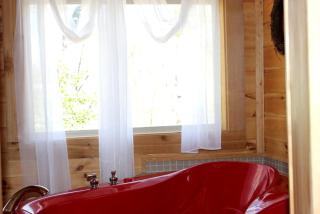 Rustic Cabin Rental in the Forest near Charleston, West Virginia - Hico - 2
