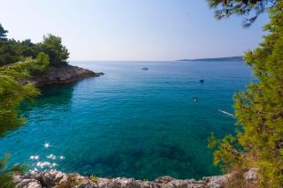 Villa Nila, a charming villa just a short walk away from the beach - Premantura - 6