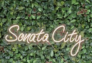 Sonata City Hotel - 1