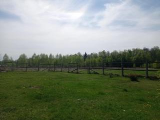 Domek kempingowy Przy Siole Budy - Budy - 8