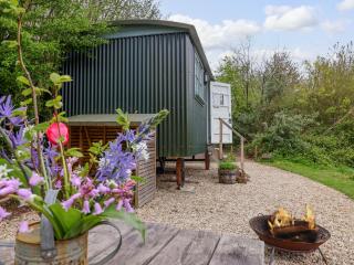 Oak Shepherd Hut - 0