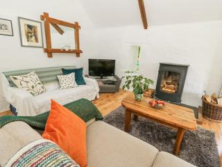Hawthorn Cottage - Llandysul - 3