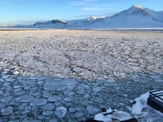 Art & Nature Retreat in Iceland - The Crib Rocks - Borgarnes - 2